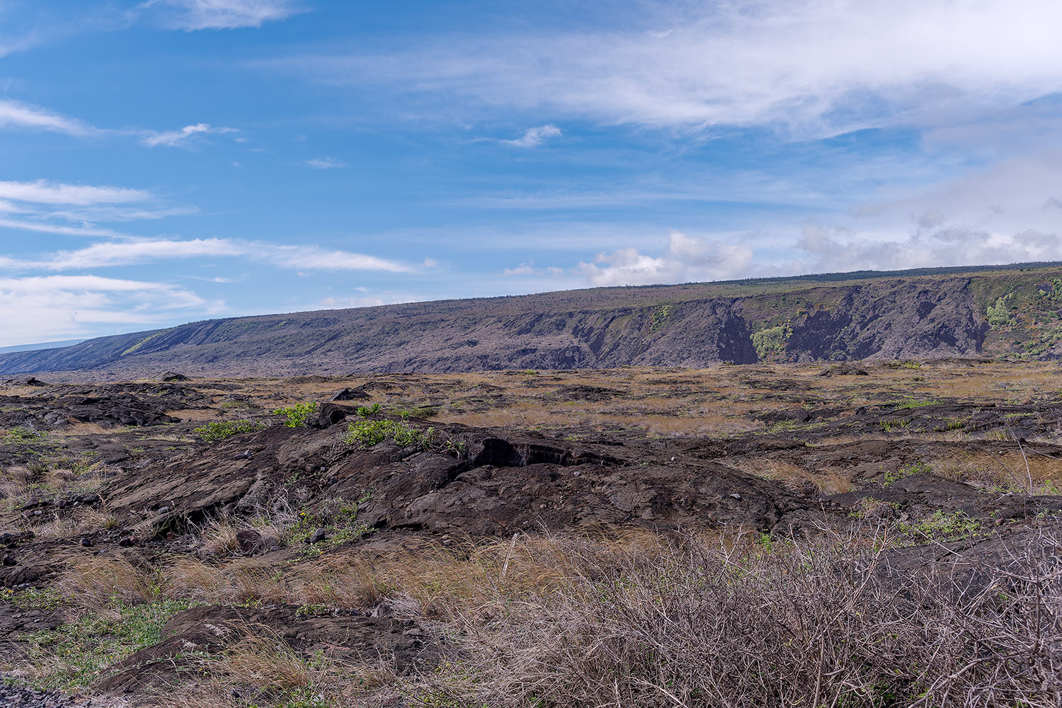 ...but years after a lava flow, the landscape is still pretty barren.