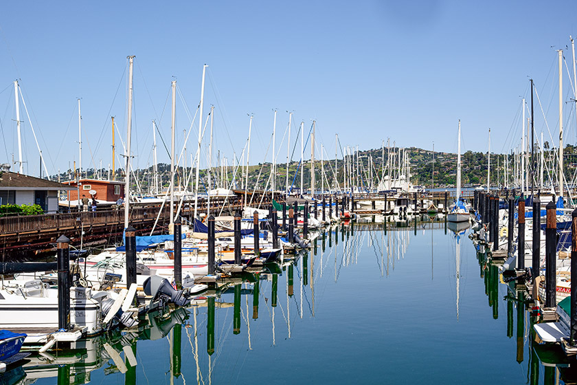 The Pelican Harbor in Downtown Sausalito