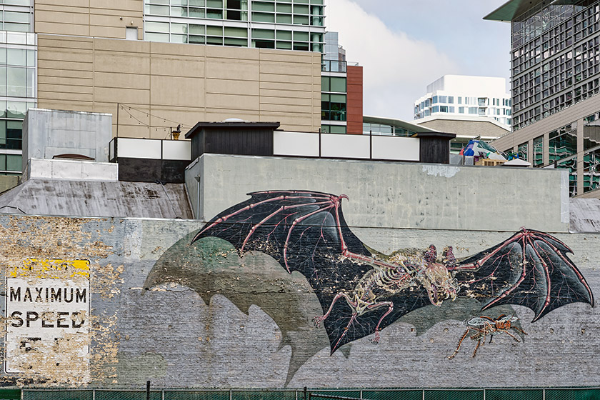 Bat mural with a speed limit sign
