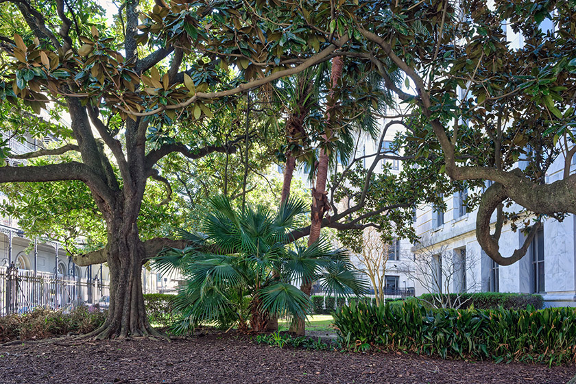 Even in the heart of the French Quarter one can find serene spots