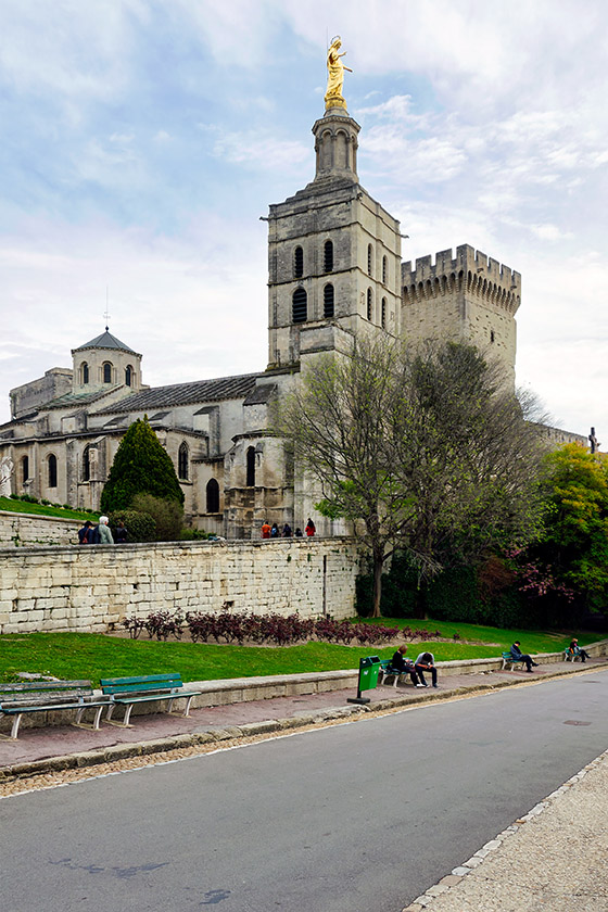 The Avignon Cathedral