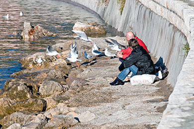 Couple among the seagulls