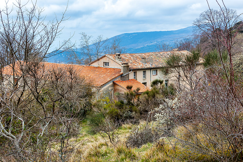 Looking down on the domain