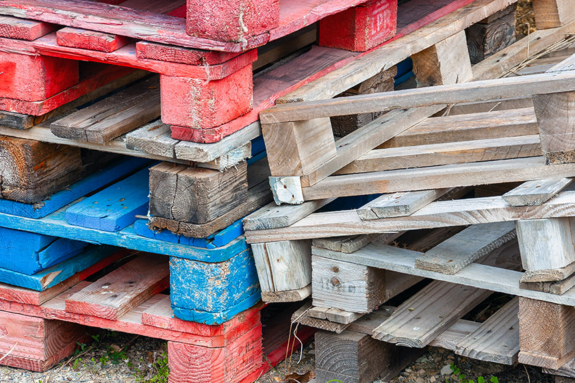Discarded pallets provide a touch of color