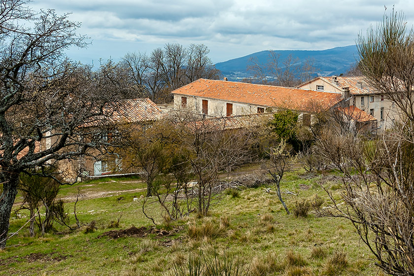 Looking from the back toward the building with the terrace