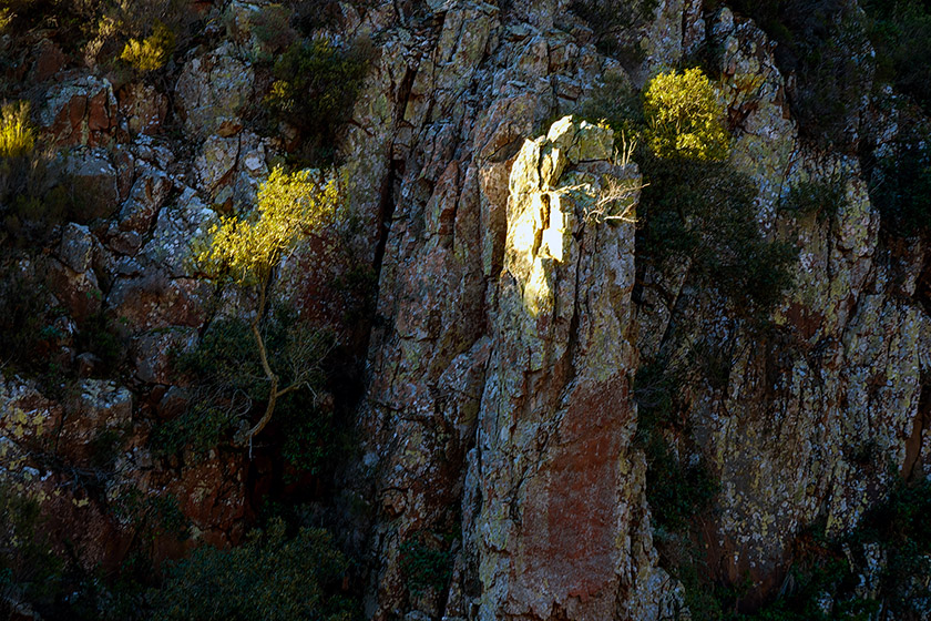 First ray of morning sun in the ravine