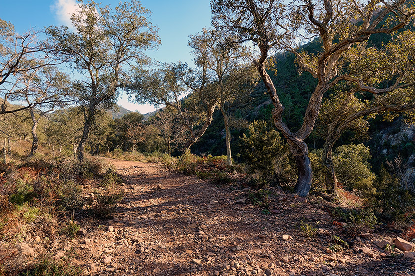 Towards the 'Couche de l'Âne'