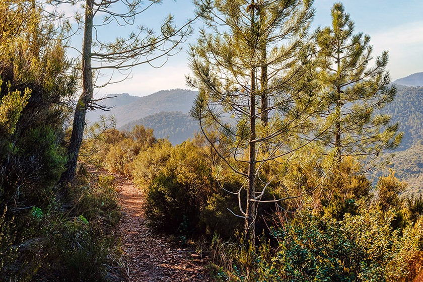 ...while descending towards the lake.