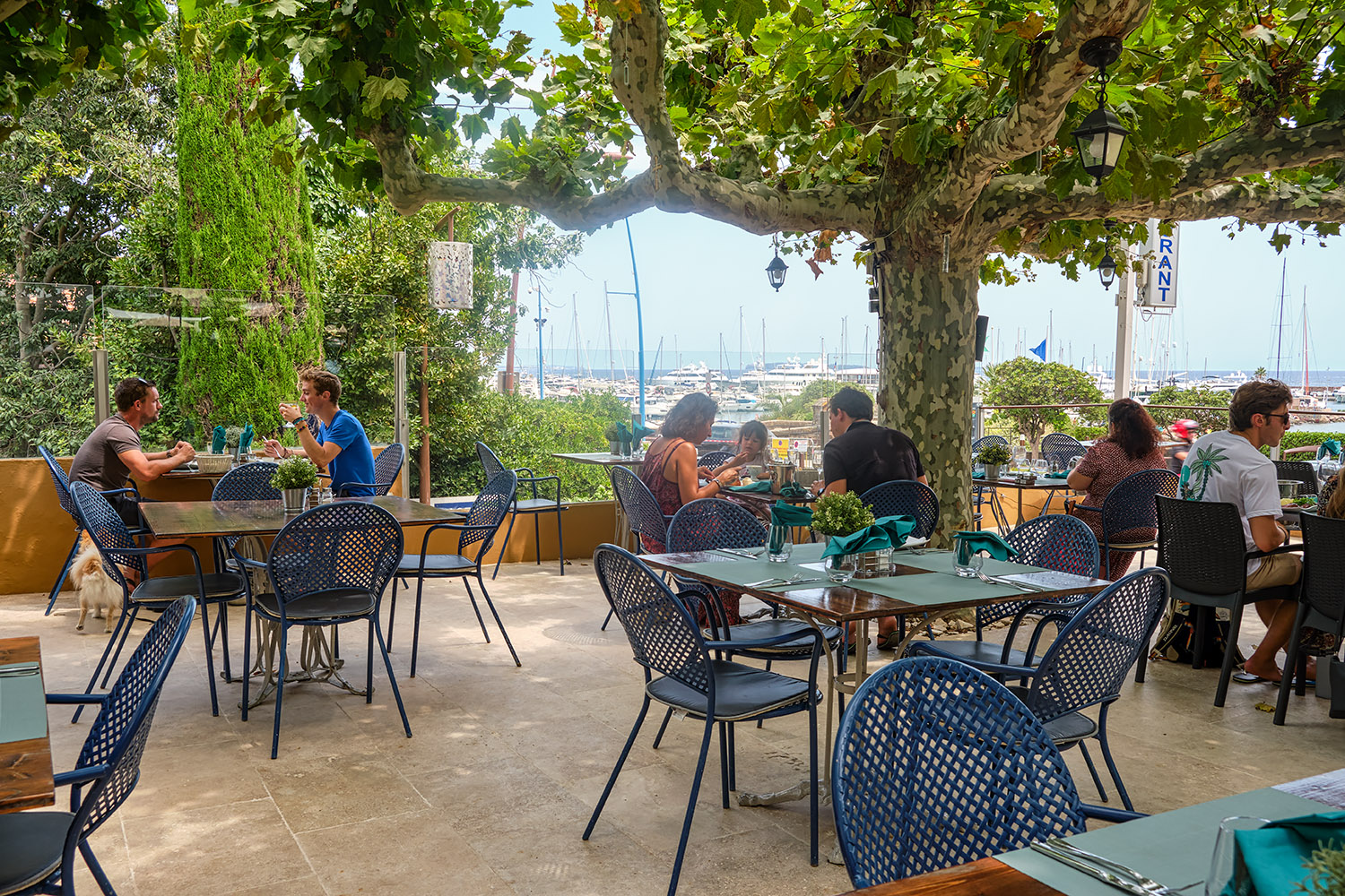 But first things first: lunch on an inviting terrace, set up for appropriate social distancing, in the shade of plane trees