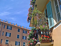 Flowery balconies