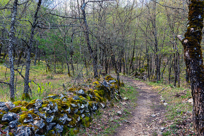 Sometimes the paths skirts meadows