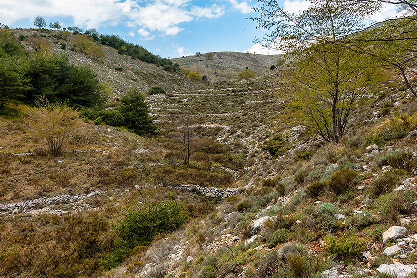 The terrain is getting increasingly difficult