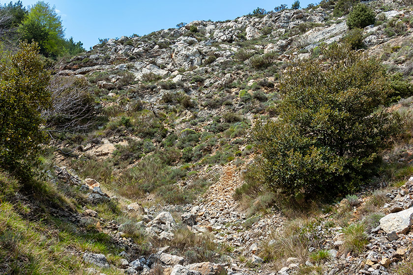 Dead end! I missed a turn and had to climb back up this part