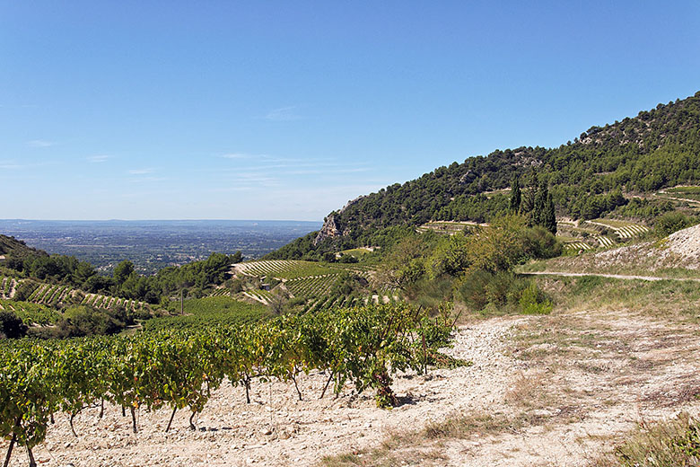 Looking towards the Rhône Valley