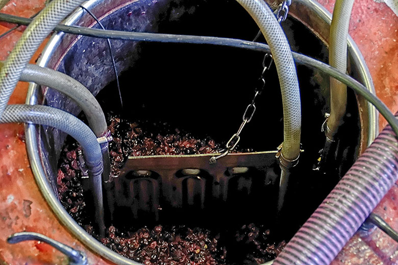 The top of a full cement vinification vat