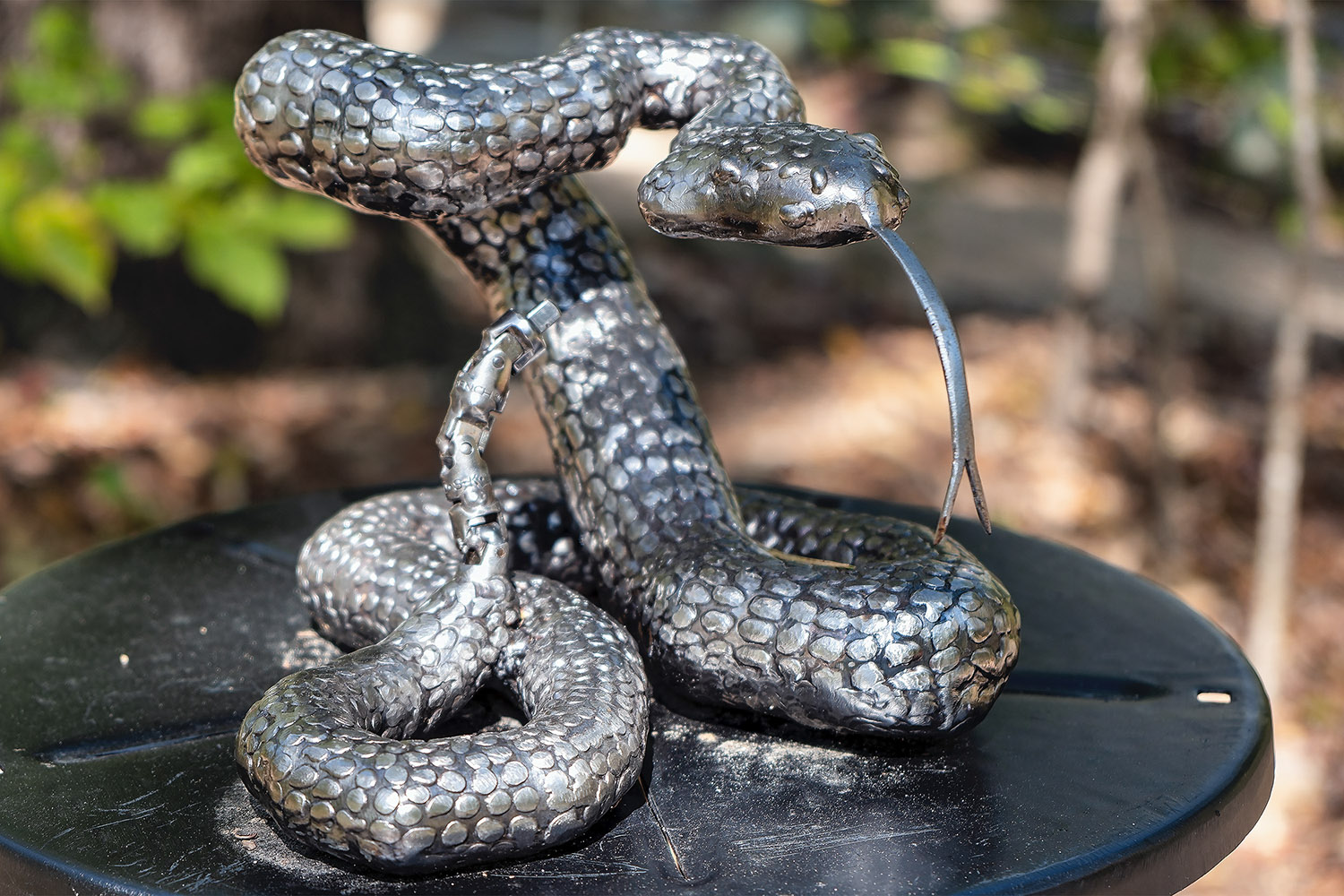 Rattlesnake by Chris Belk, Union, SC (Metal)