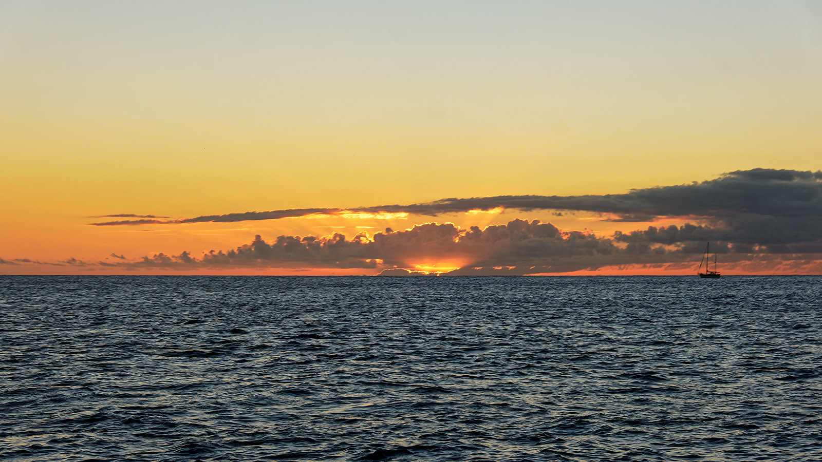 Sunset Cruise View