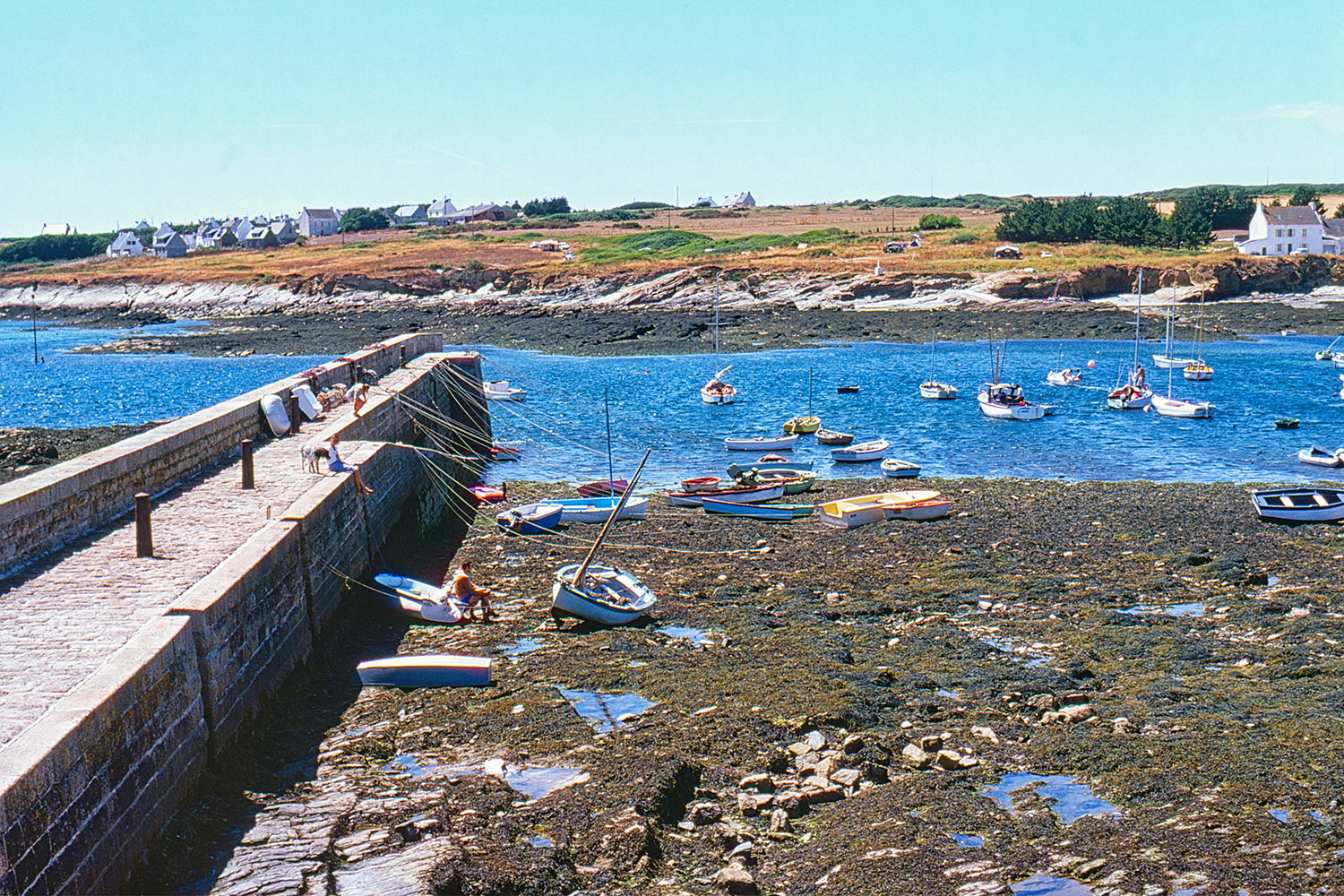 The small harbor of Locmaria at low tide