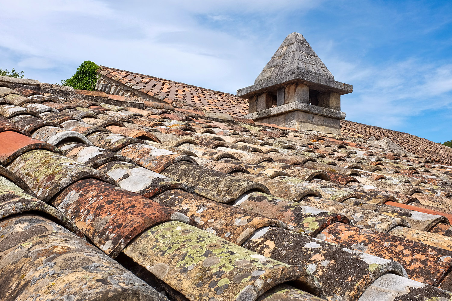 Roof tiles on an old abbey