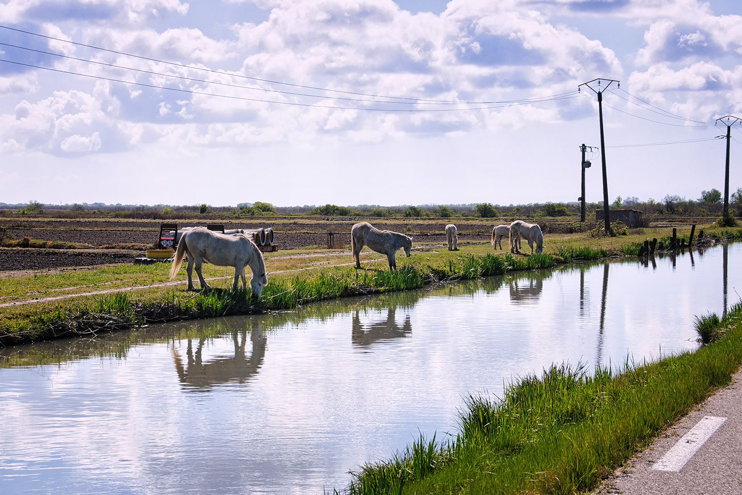 Landscape with canal and horses