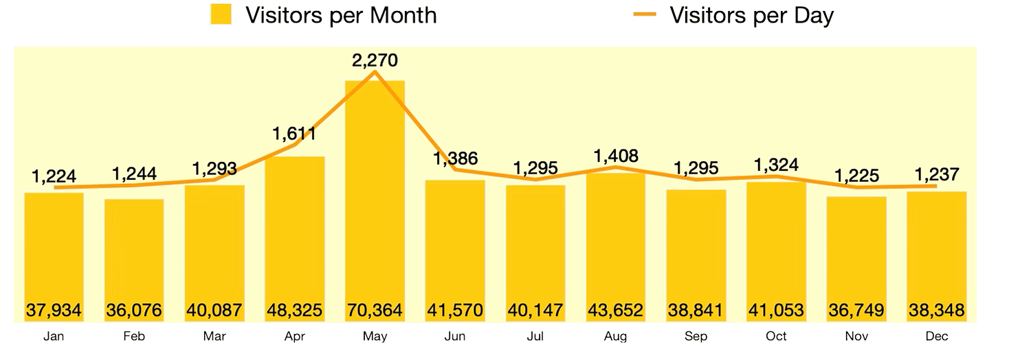 Visitors 2024