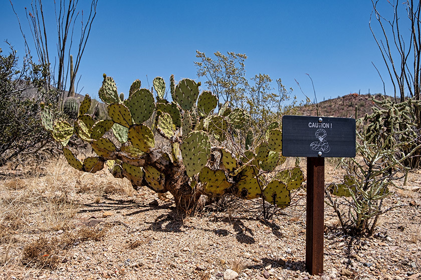 At the entrance, a sign warns visitors to look out for rattlesnakes