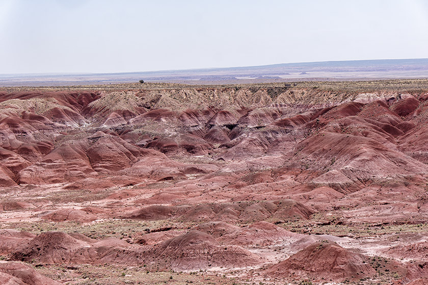 View from Petrified Forest Road