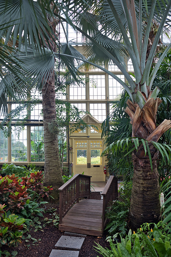 In the Palm House