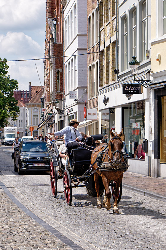 Tourists like the horse-drawn carriages