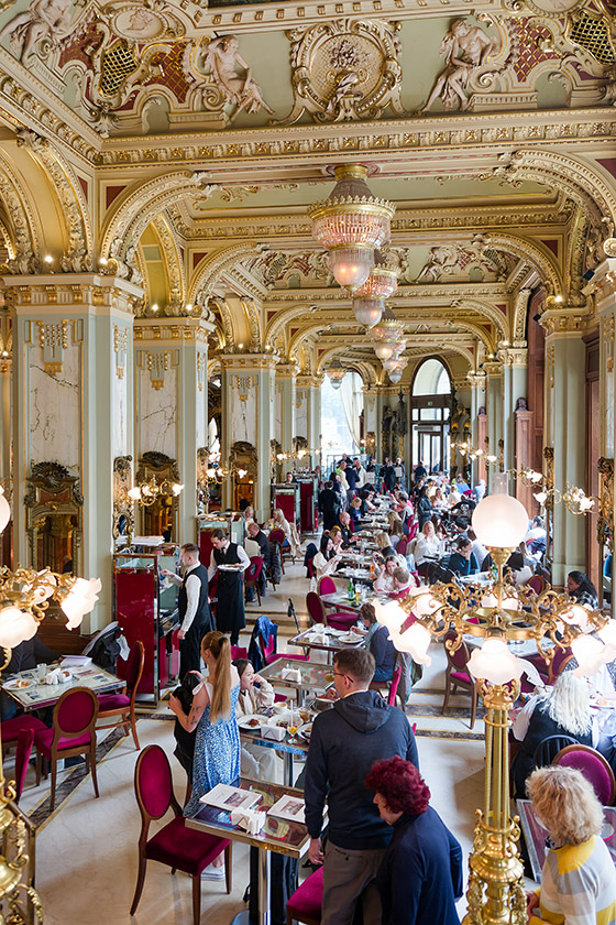 In the New York Café