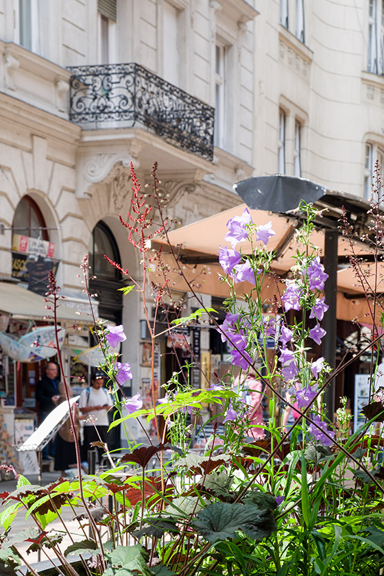 In a pedestrian street