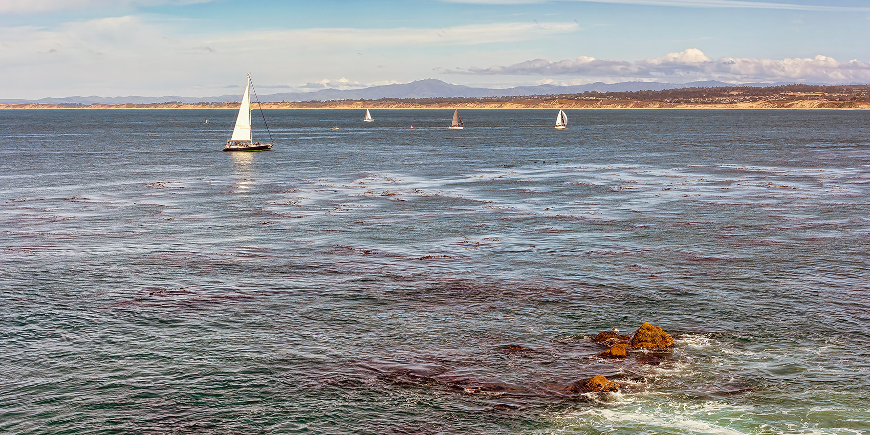 The view from the Monterey Aquarium terrace