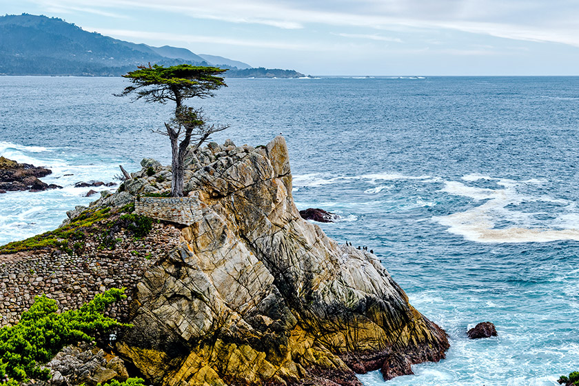 The Lone Cypress in front of Carmel Bay