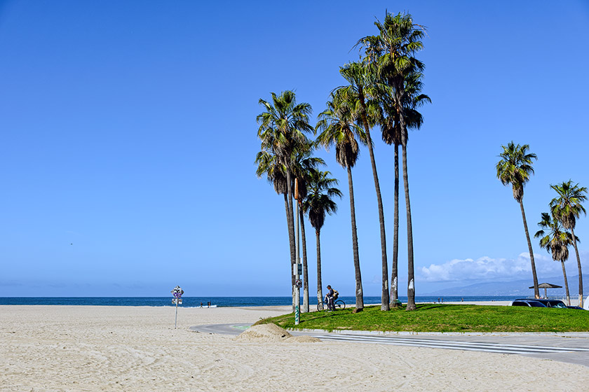 In Venice Beach