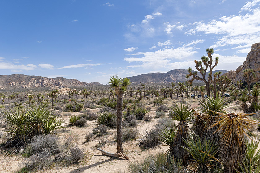 Near the Hidden Valley Nature Trailhead