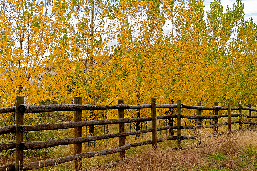 Fence in Boulder, Utah