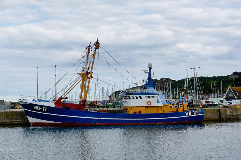 A look into the harbour: The Mary J WD 17 fishing vessel A look into the harbour: The Mary J WD 17 fishing vessel
