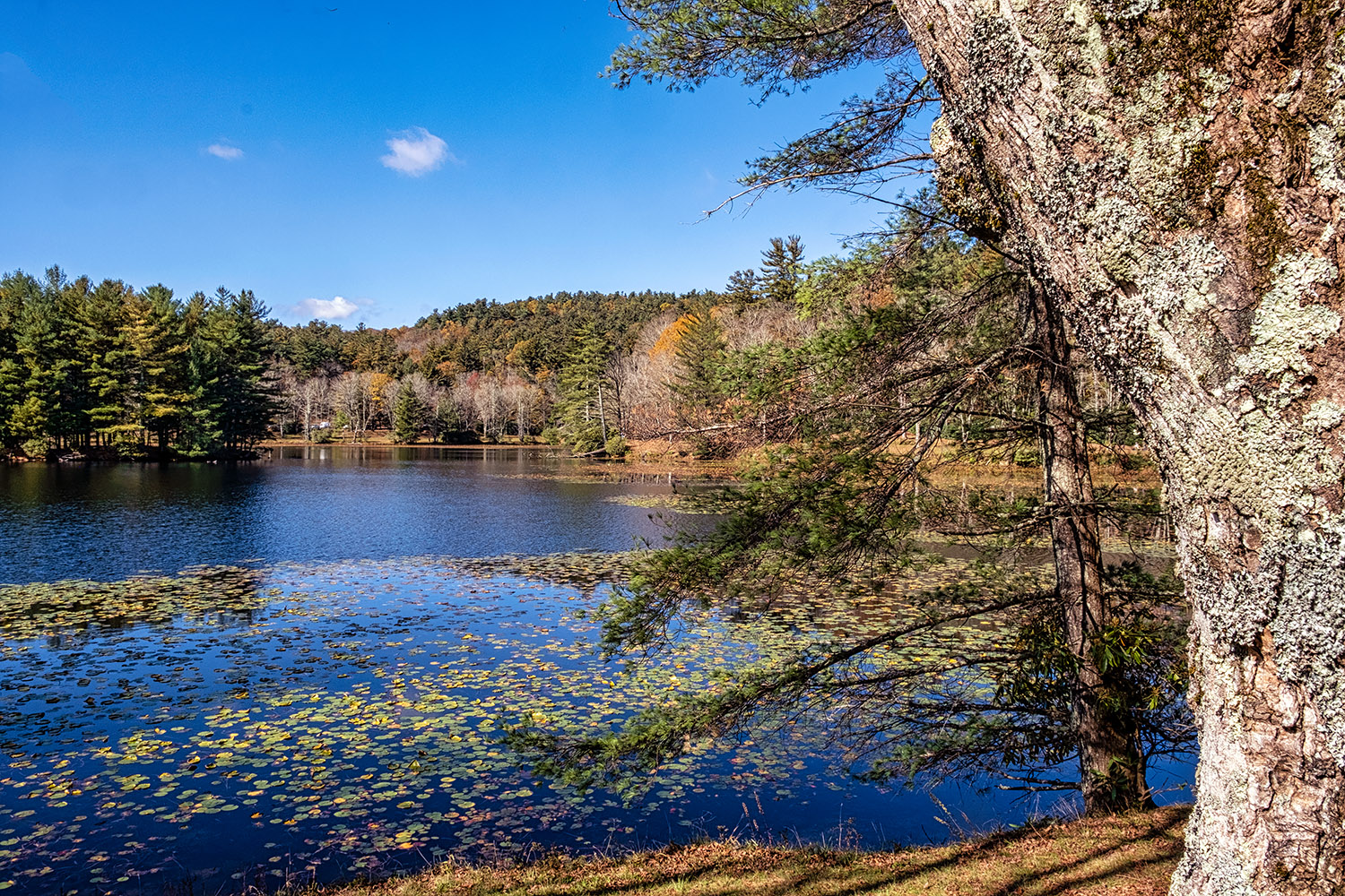 Looking diagonally across the lake to the beginning of the trail