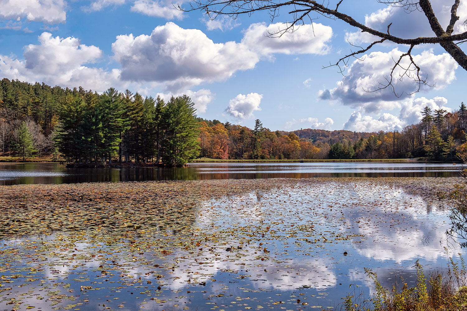 A look at the island with its pines and the clouds reflected in the water