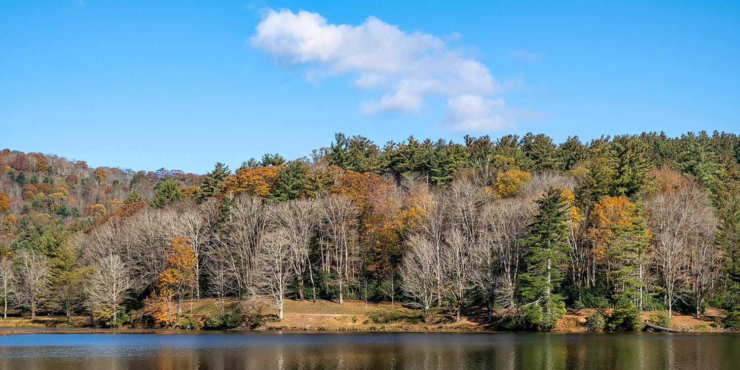 Bidding farewell to Bass Lake with this small panorama