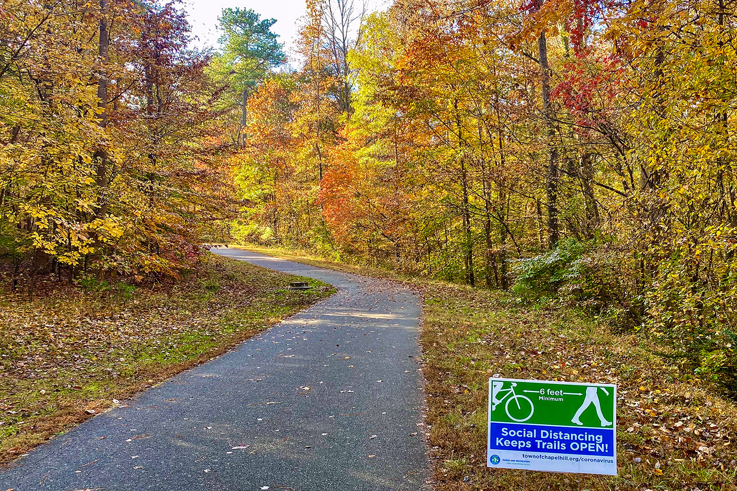 Back home on a path to Southern Community Park: We have colors, too!
