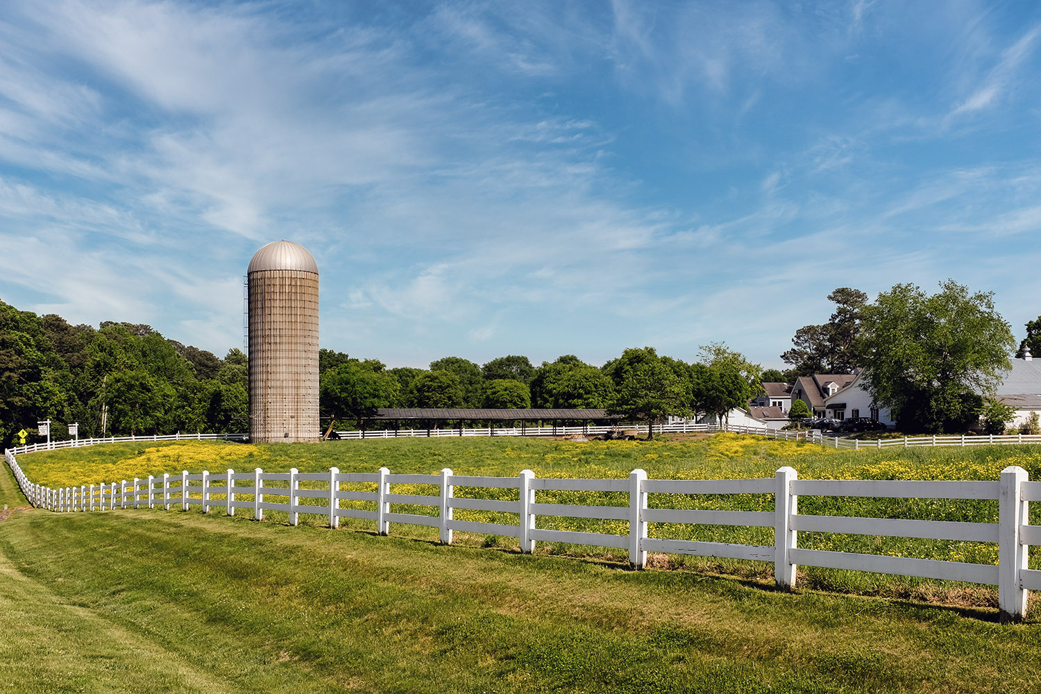 An iconic view of Fearrington Village: the big pasture, the white fence, and the silo