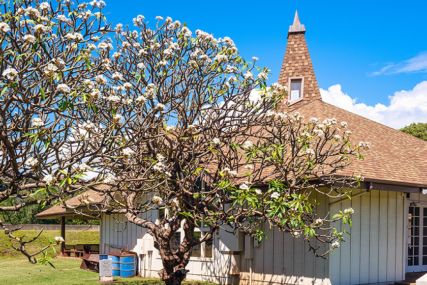 Hanapēpē Hawaiian Congregation (Presbyterian church)
