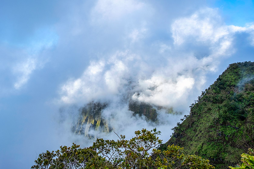 It was foggy by the Kalalau lookout...