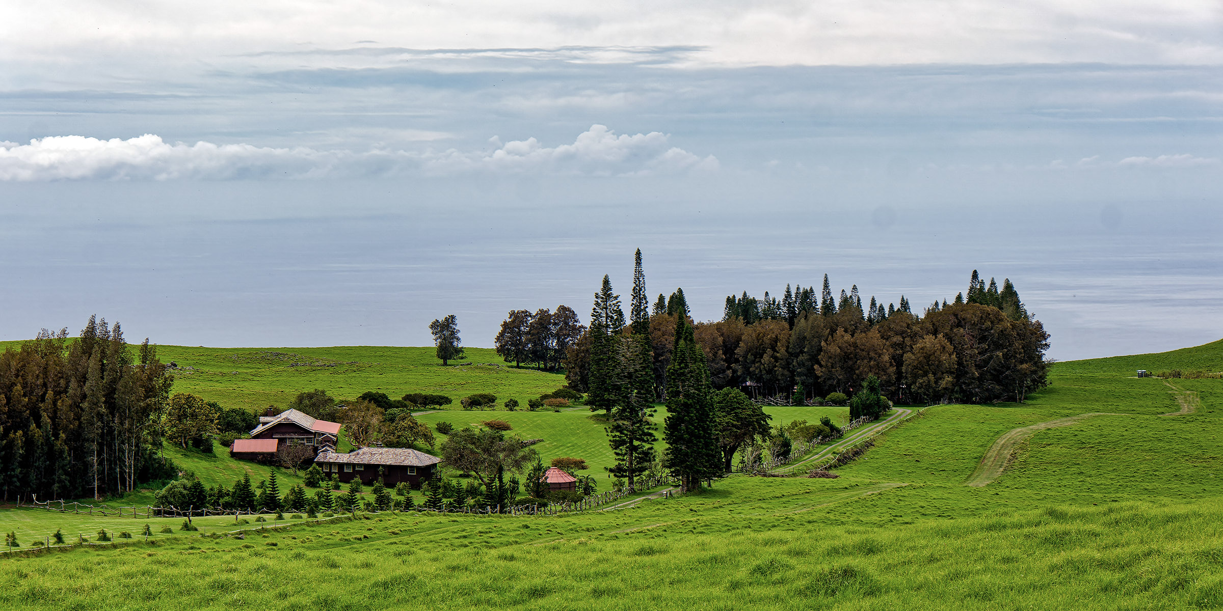 The ocean appears to seamlessly blend into the sky in this view from a lookout on Kohala Mountain Road