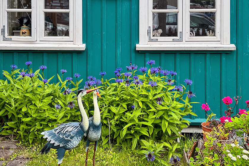 As in Reykjavik, many houses are covered in corrugated metal...