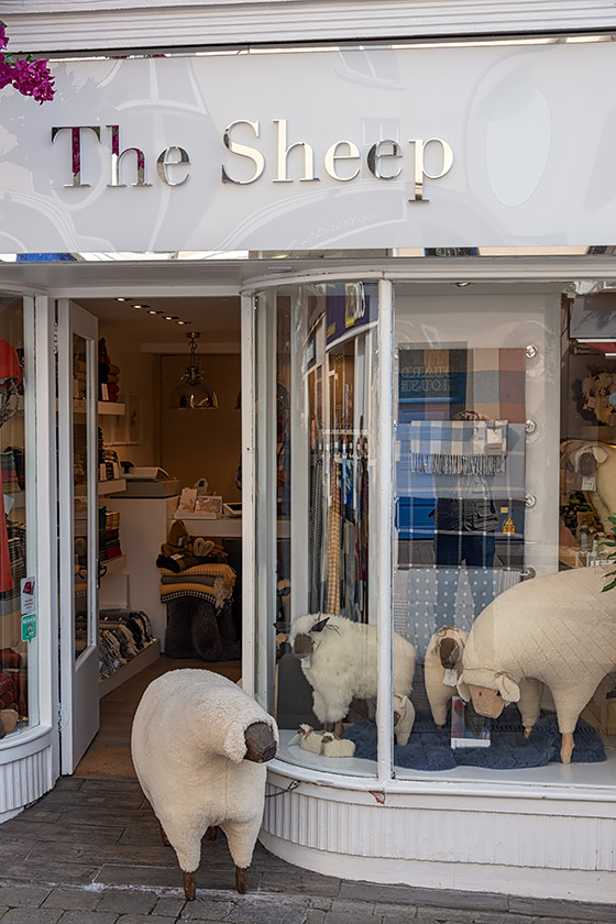 "The Sheep" on Mainguard Street