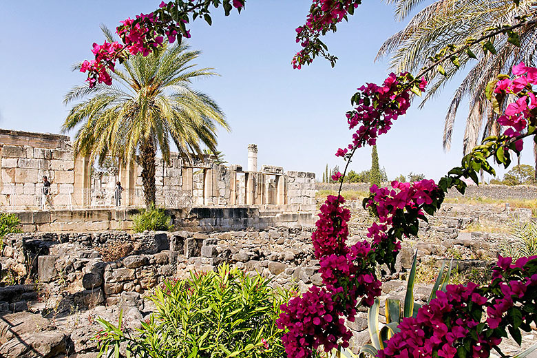 Capernaum excavations