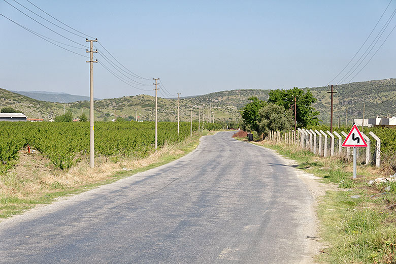 Country road near Selçuk