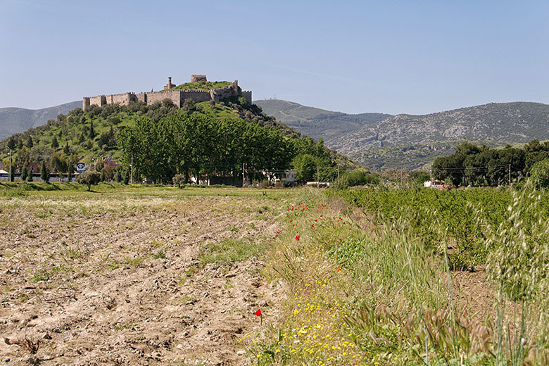 View of Selçuk castle